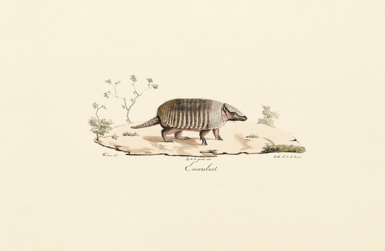  autorstwa Jacques Christophe Werner