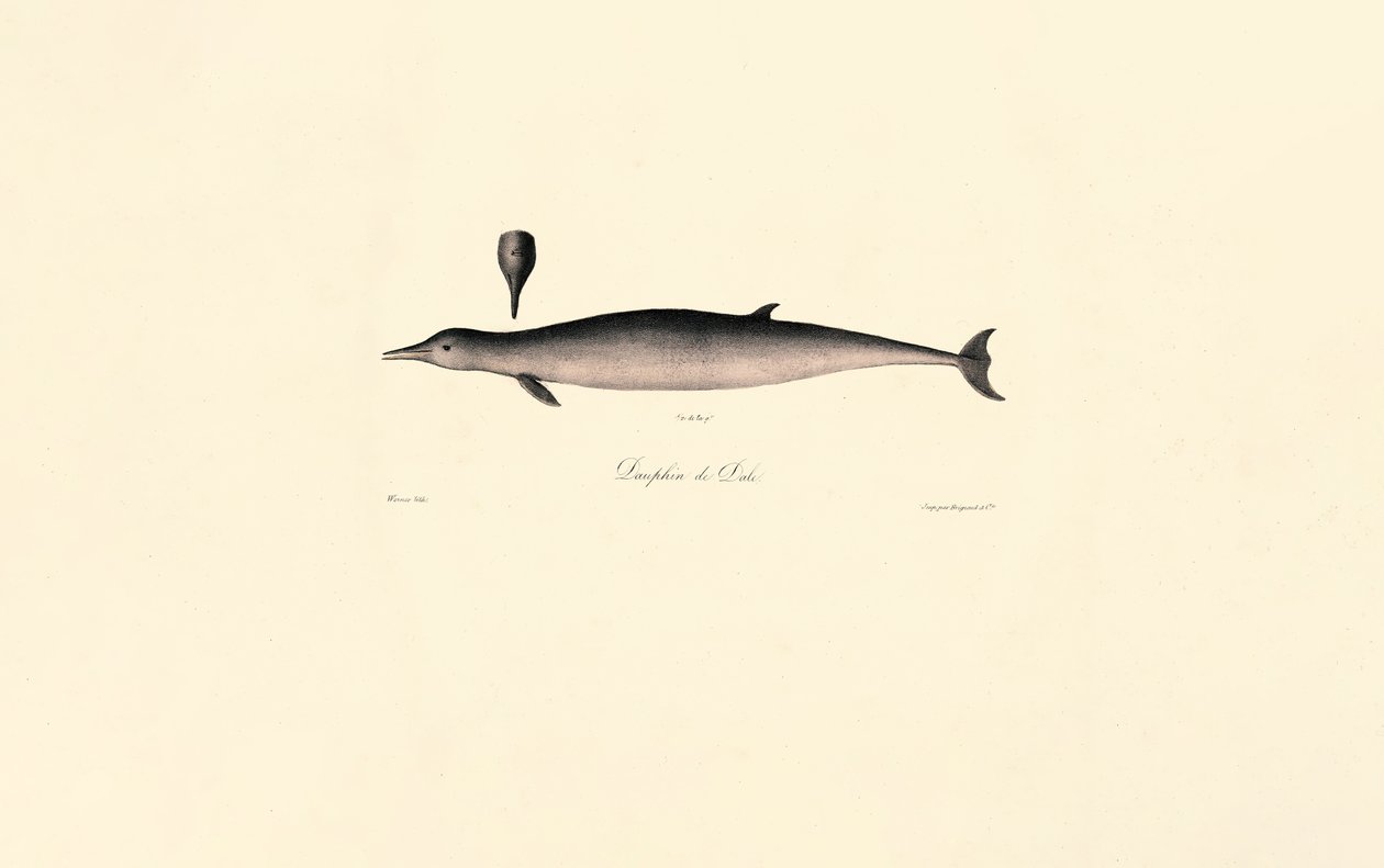  autorstwa Jacques Christophe Werner