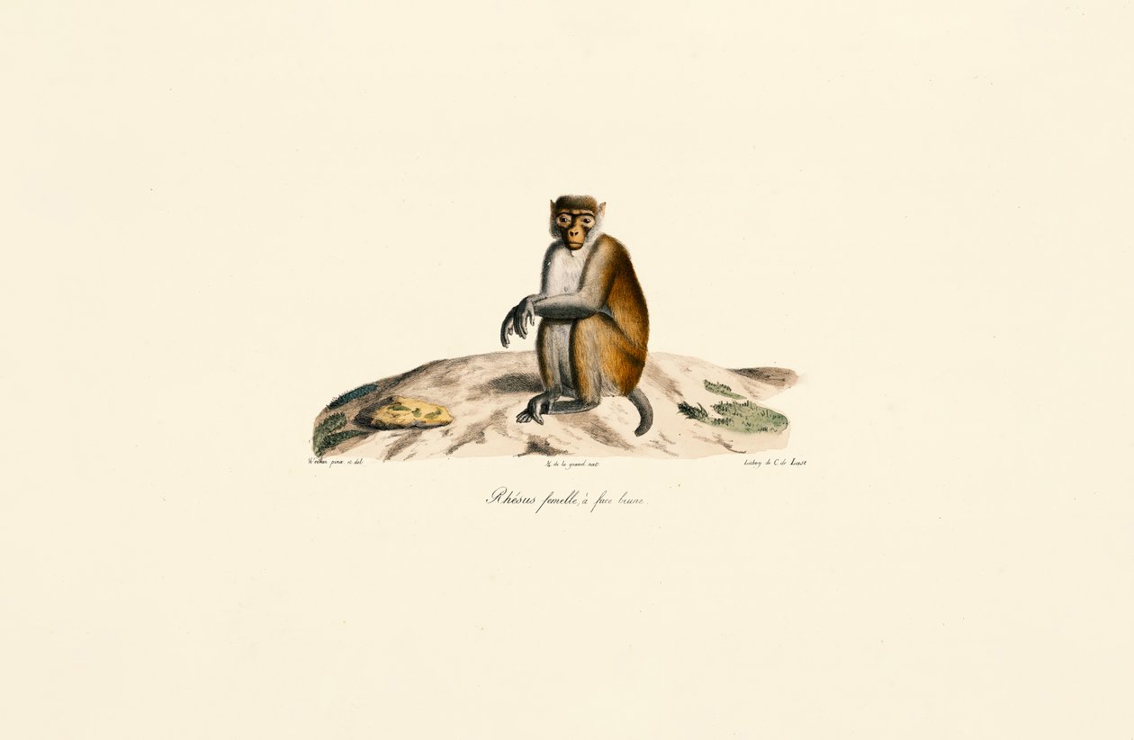  autorstwa Jacques Christophe Werner
