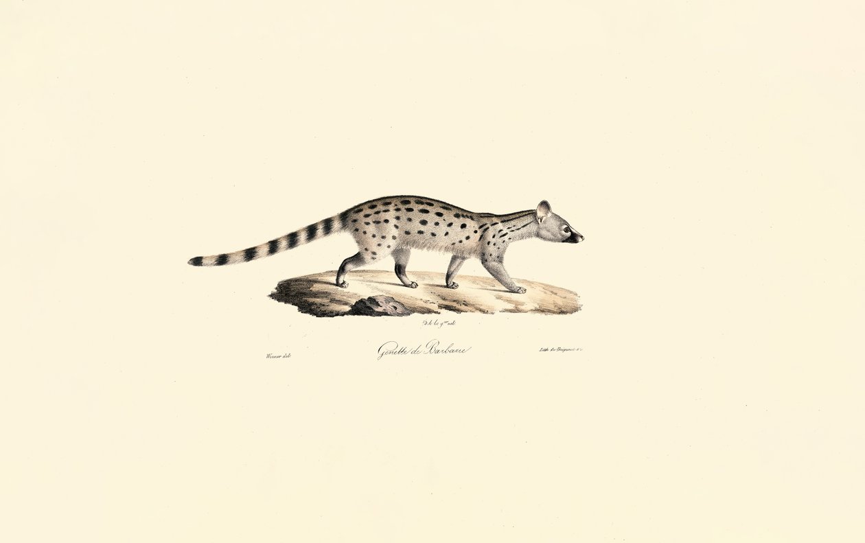  autorstwa Jacques Christophe Werner