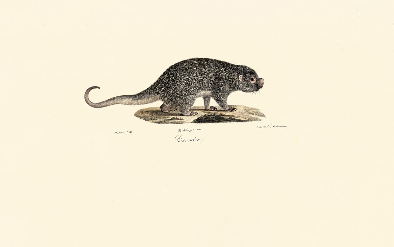  autorstwa Jacques Christophe Werner