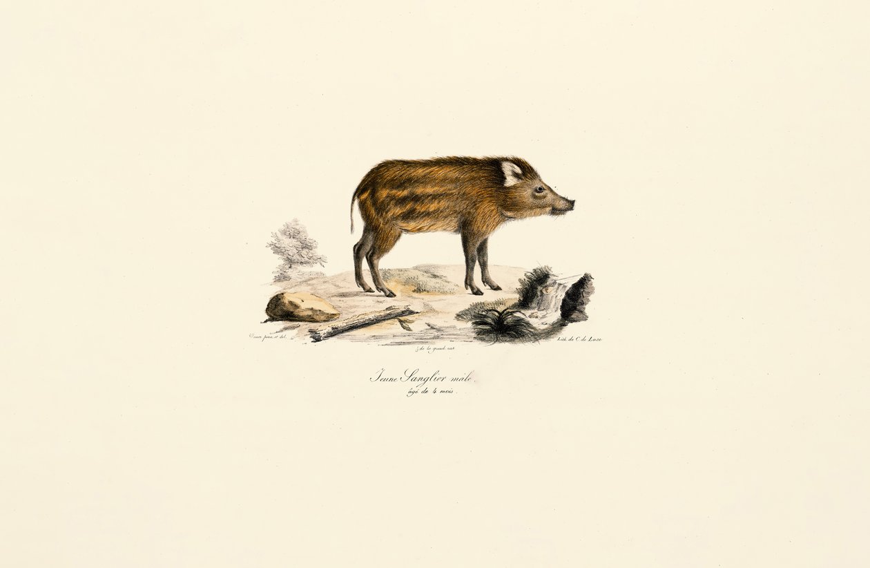  autorstwa Jacques Christophe Werner
