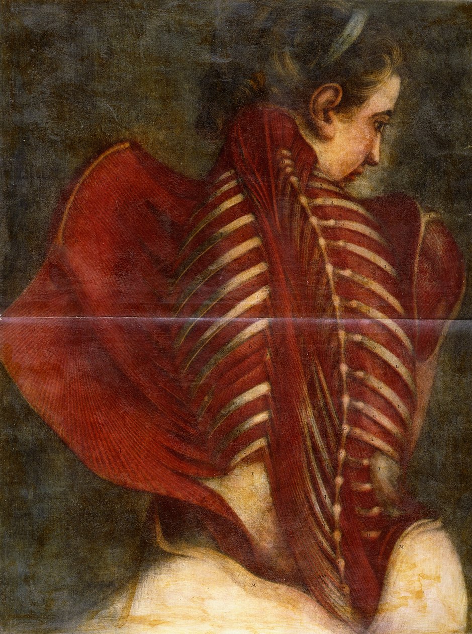 Obdarty Anioł, ok.1745 autorstwa Jacques Fabien Gautier dAgoty