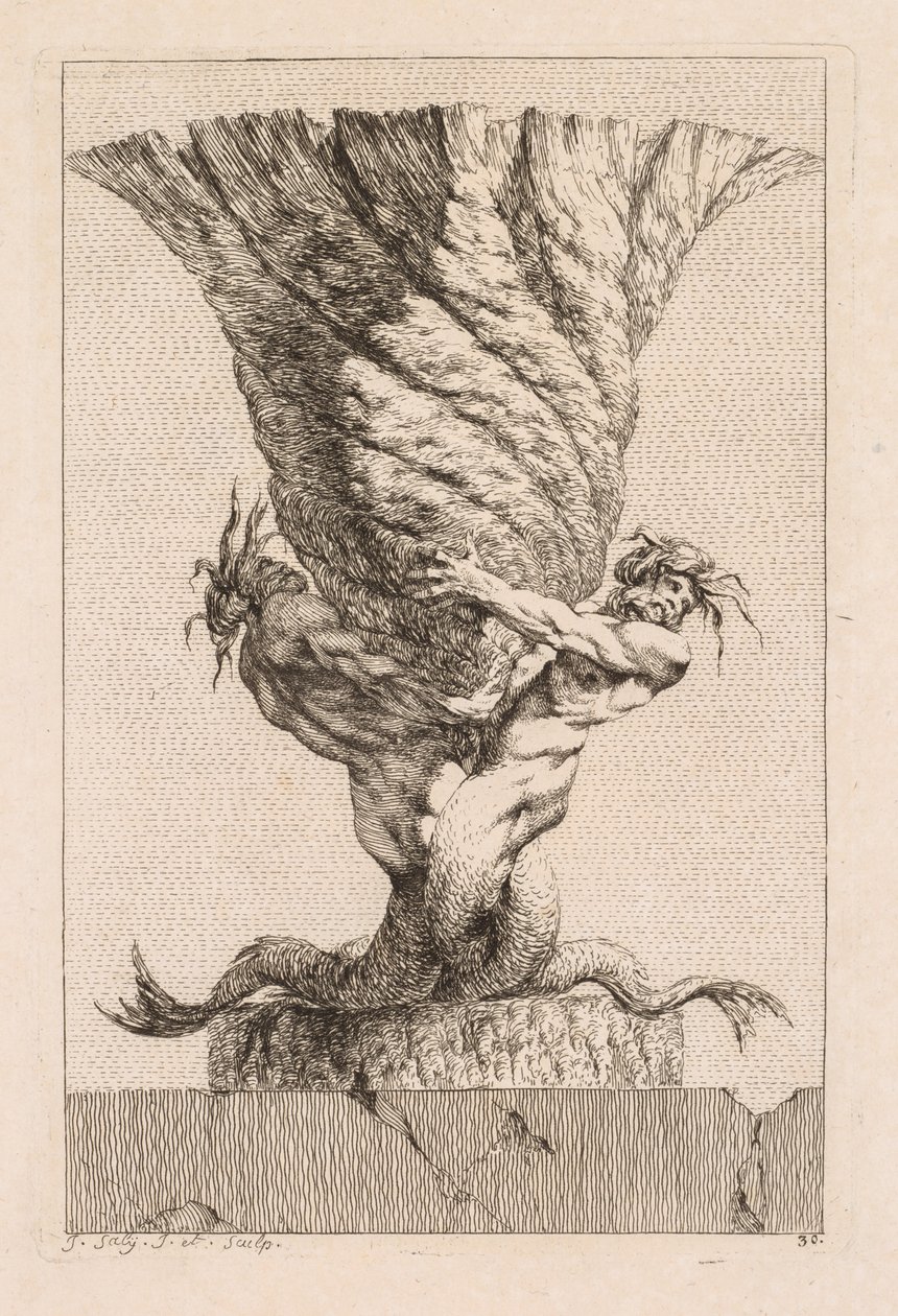 Zestaw waz: Tablica 30, 1746. autorstwa Jacques Francois Joseph Saly