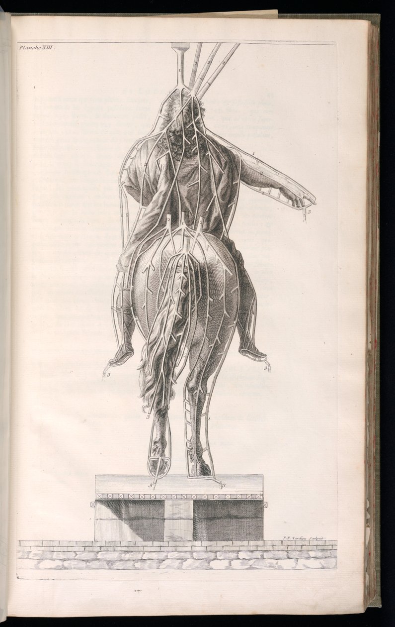 Oprawa (Francja) autorstwa Jacques François Blondel