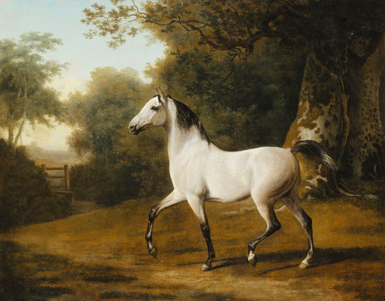 Siwy arabski ogier w leśnym krajobrazie, autorstwa Jacques Laurent Agasse