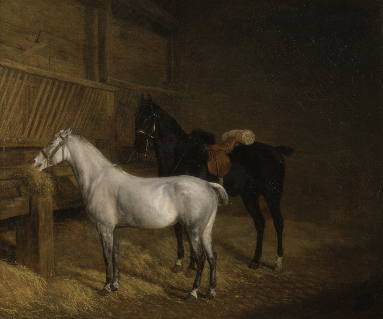 Szary kucyk i czarny rumak w stajni (olej na płótnie) autorstwa Jacques Laurent Agasse