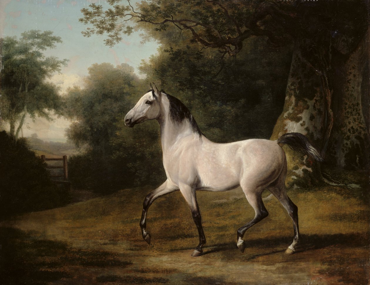 Szary arabski ogier w zalesionym krajobrazie autorstwa Jacques Laurent Agasse