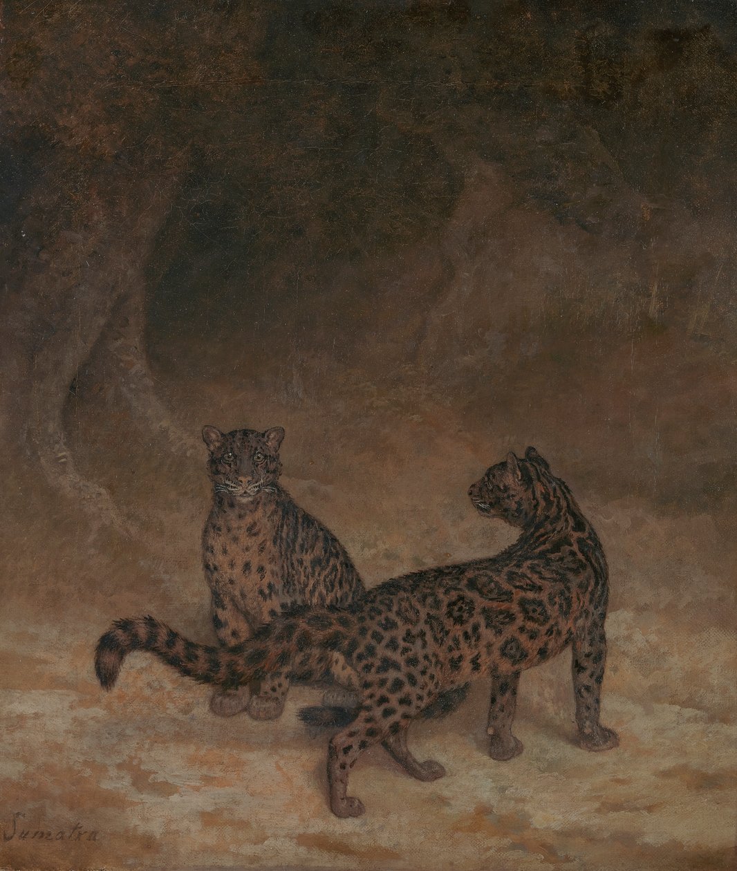 Pantery mgliste autorstwa Jacques Laurent Agasse