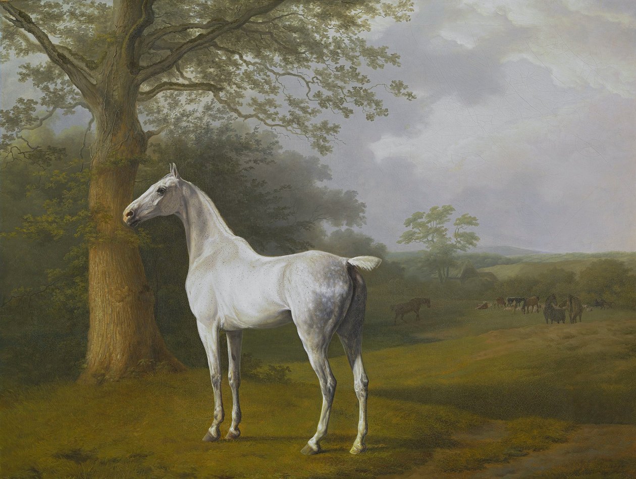 Szary koń na pastwisku autorstwa Jacques Laurent Agasse