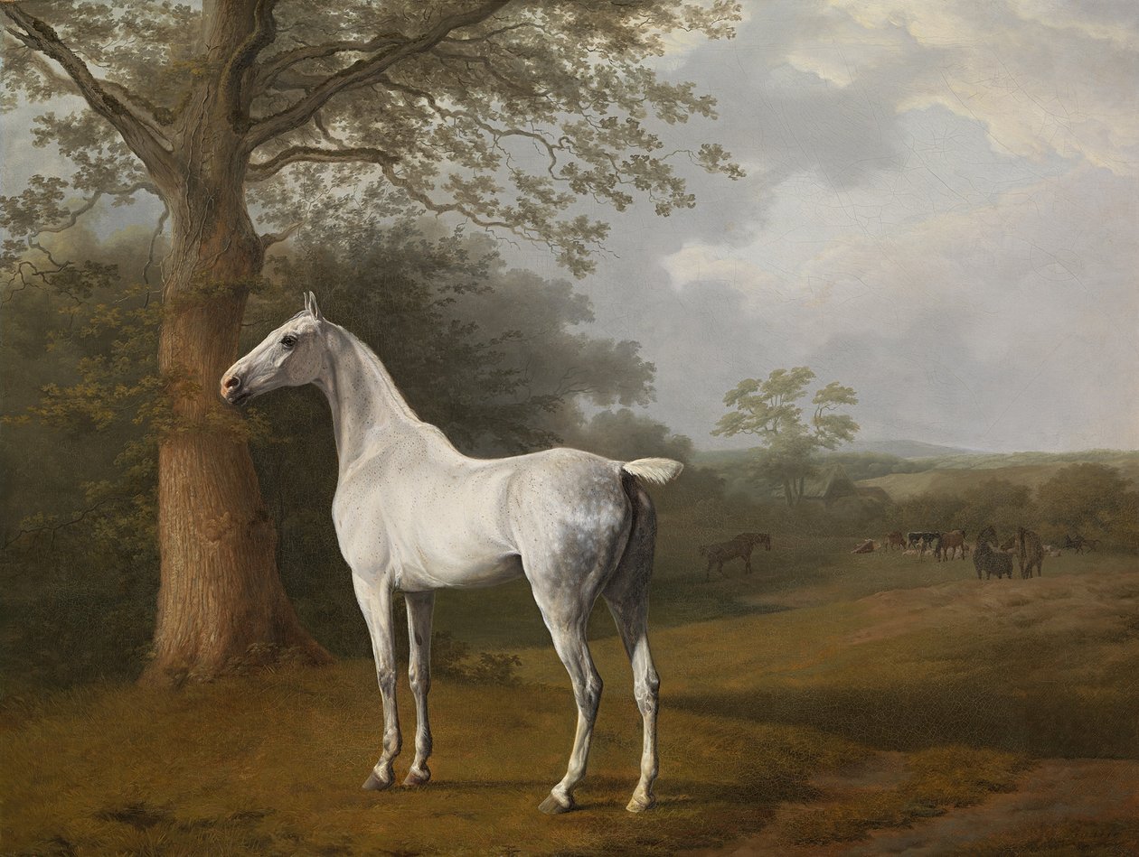Szary koń na łące autorstwa Jacques Laurent Agasse