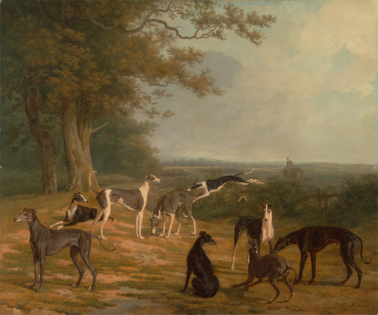 Dziewięć chartów w krajobrazie autorstwa Jacques Laurent Agasse