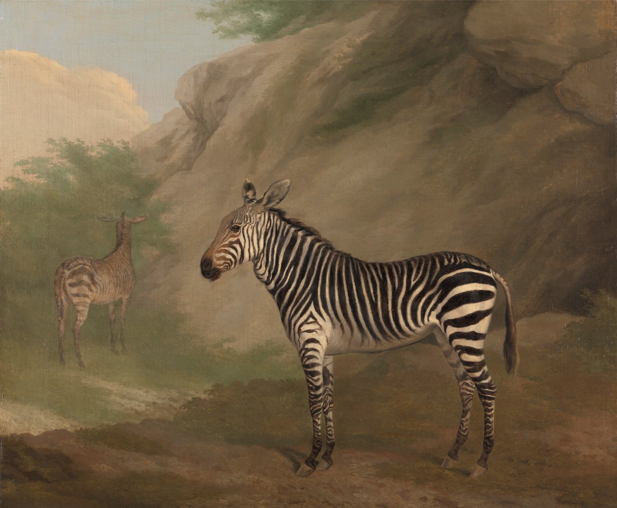 Полировка зебры autorstwa Jacques Laurent Agasse