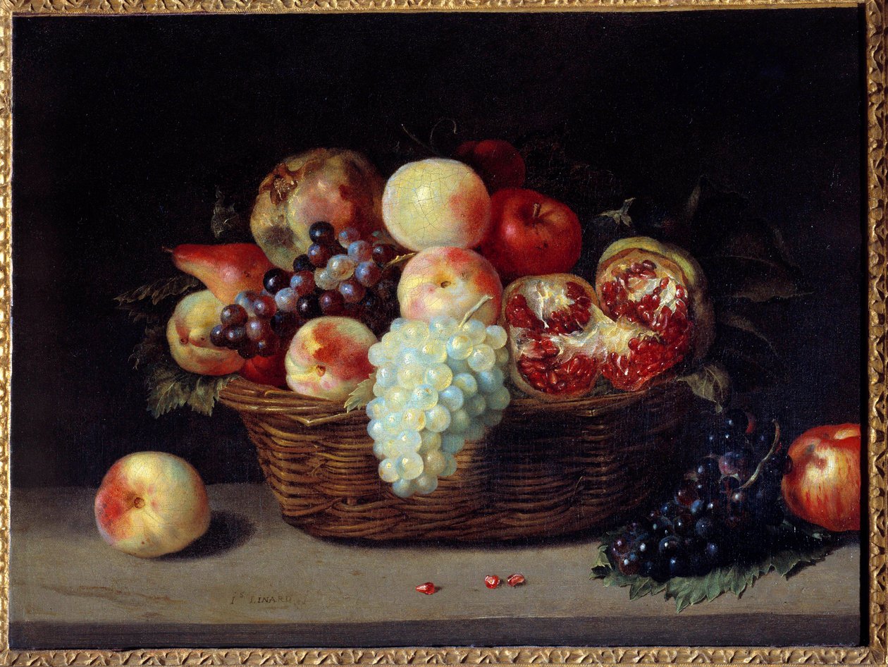 Kosz granatów, brzoskwiń i winogron Obraz Jacquesa Linarda (1600-1645) XVII w. Ndz. 0,46x0,61 m² autorstwa Jacques Linard