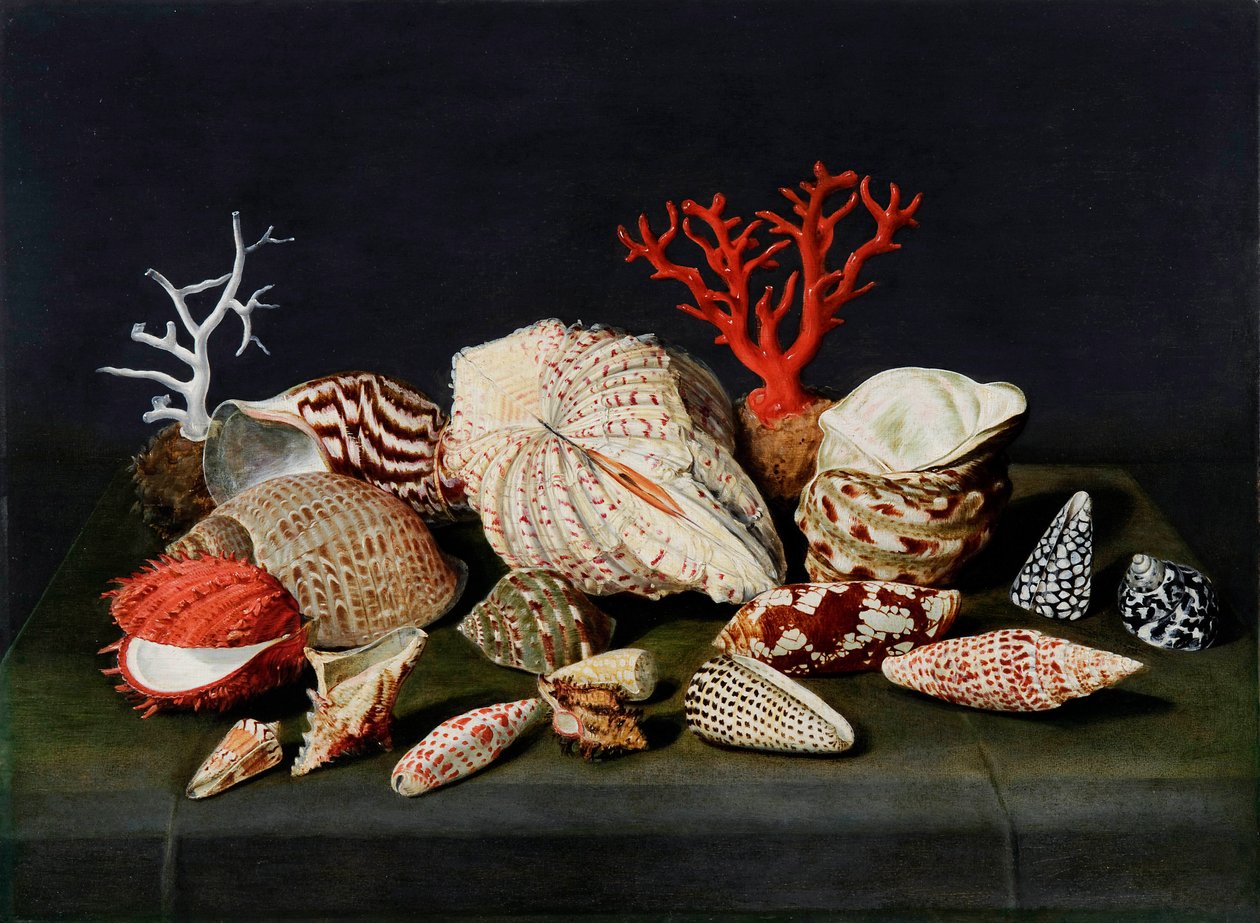 "Martwa natura z muszlami i koralami" (Martwa natura z muszlami i koralami) Obraz Jacques Linard (1597-1645), - Olej na drewnie, 47x64 - Fondation Custodia autorstwa Jacques Linard