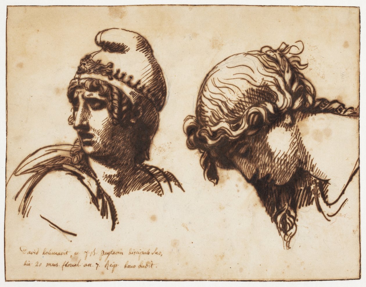 Głowa kobiety i zwierzaka autorstwa Jacques Louis David