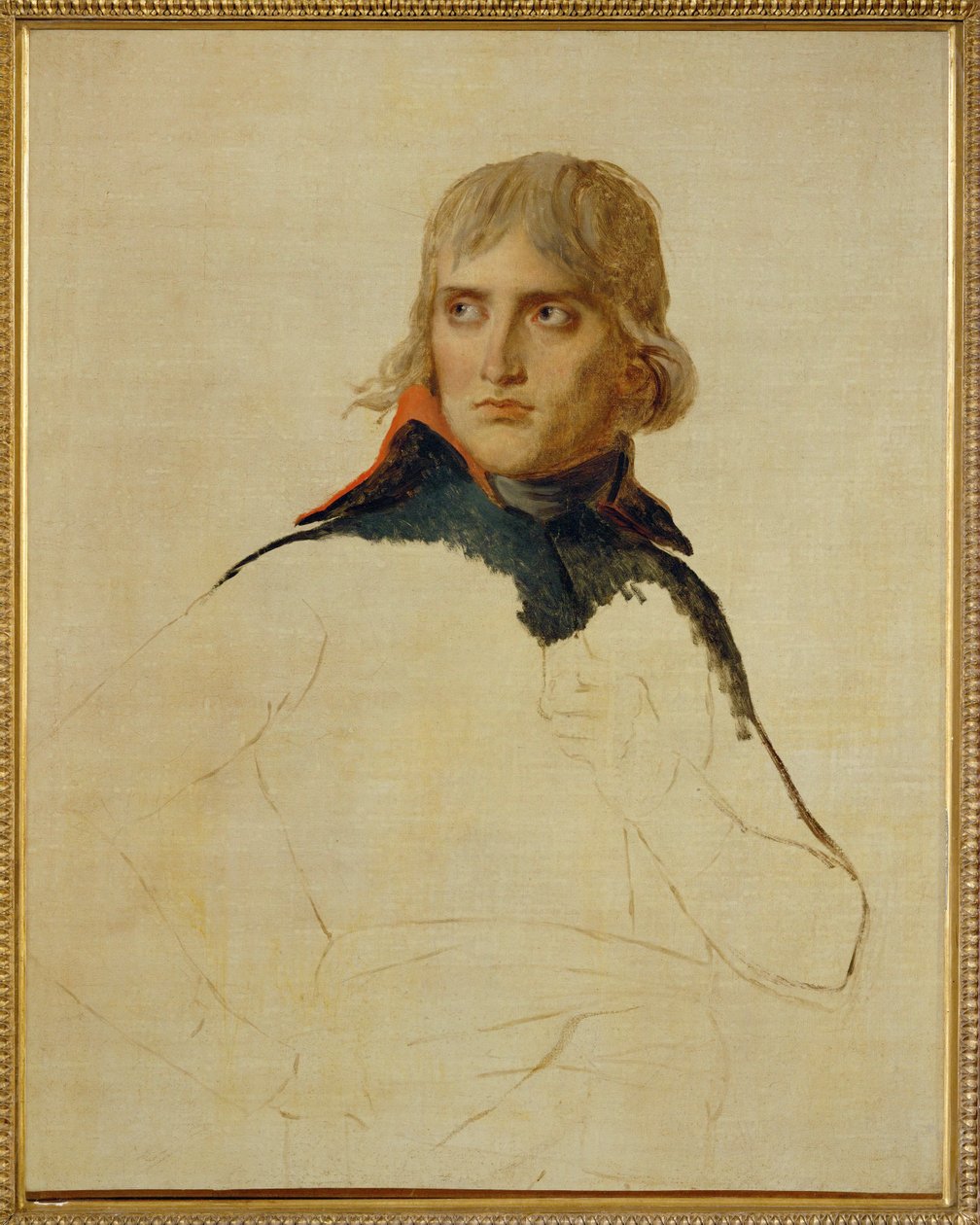 Napoleon Bonaparte ... autorstwa Jacques Louis David