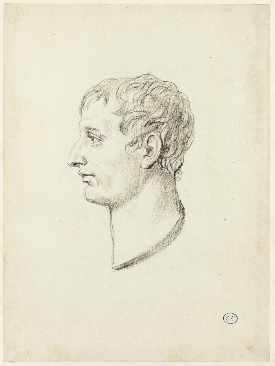 Profil Napoleona autorstwa Jacques Louis David