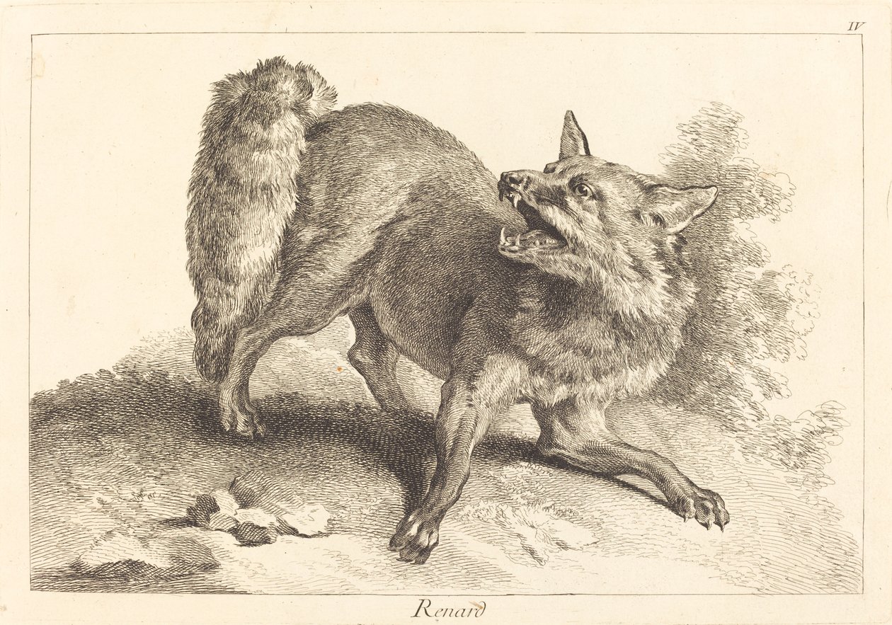 Renard (Lis) autorstwa Jacques Philippe Le Bas and Jean Eric Rehn after Jean Baptiste Oudry