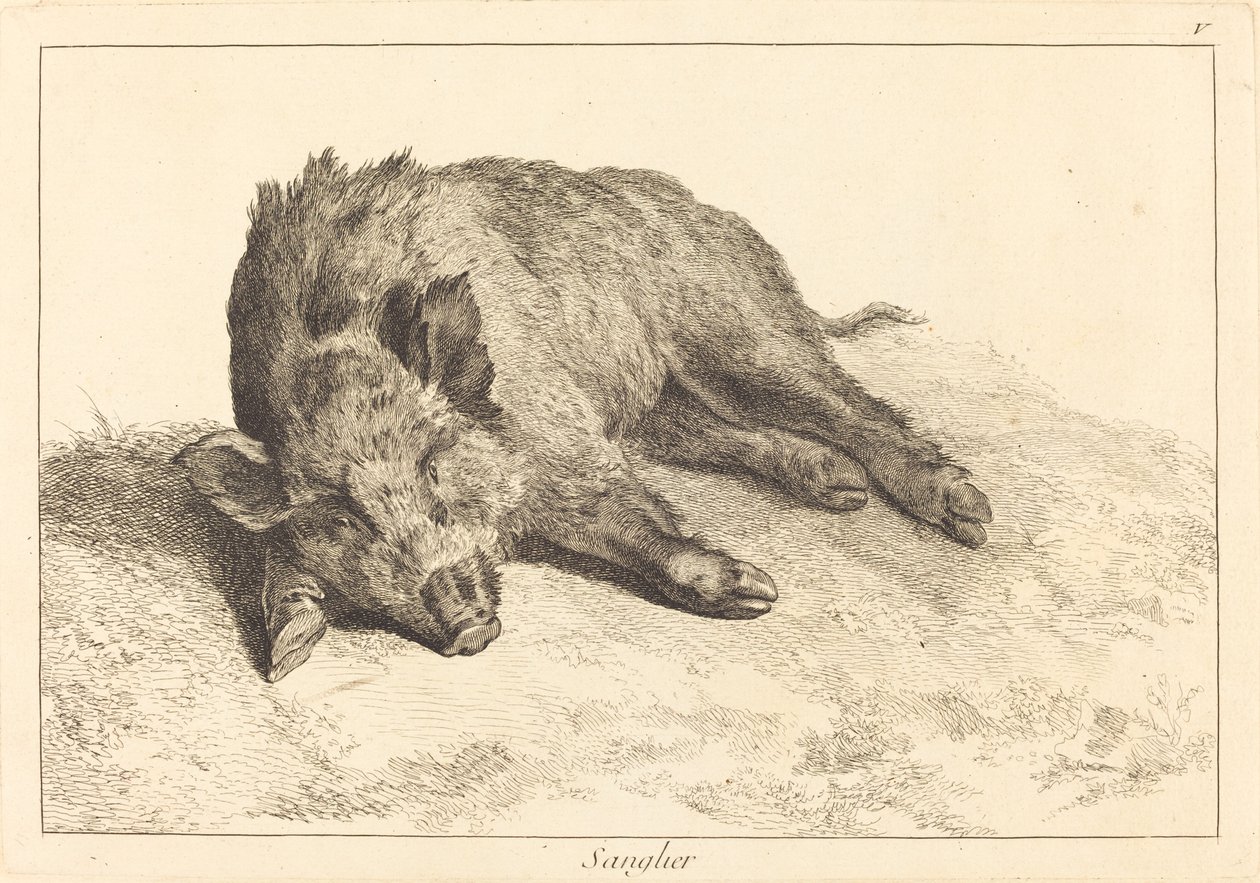 Sanglier (Leżący dzik, skieruj się w lewo) autorstwa Jacques Philippe Le Bas and Jean Eric Rehn after Jean Baptiste Oudry
