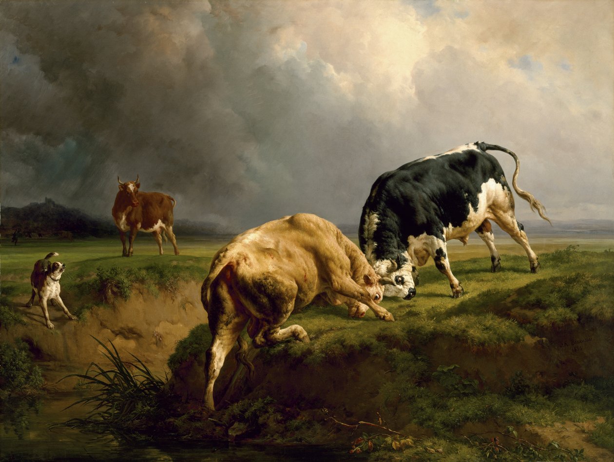 Walka byków, 1855 autorstwa Jacques Raymond Brascassat