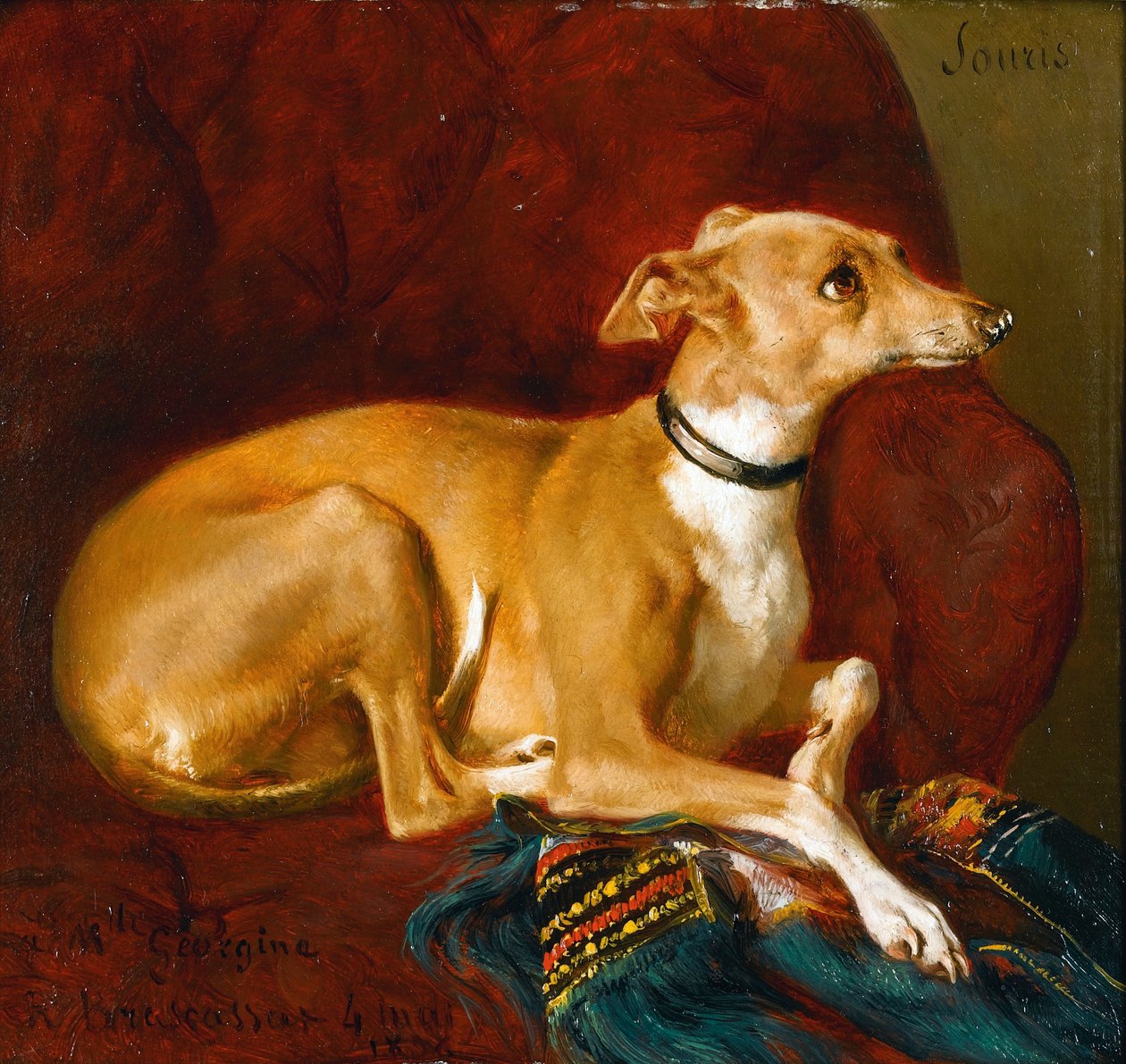 Greyhound spoczywający na krześle autorstwa Jacques Raymond Brascassat