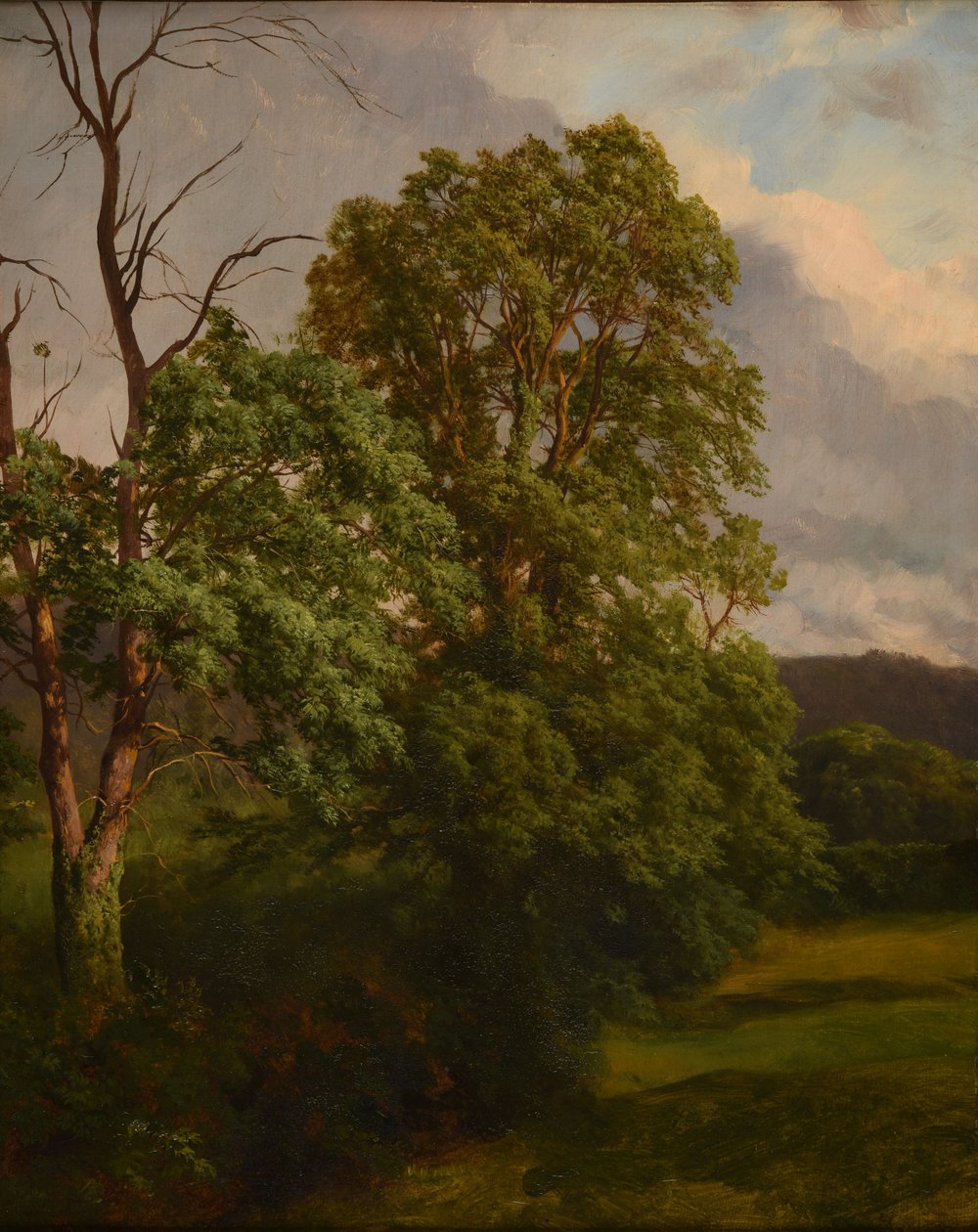 Les Chênes autorstwa Jacques Raymond Brascassat