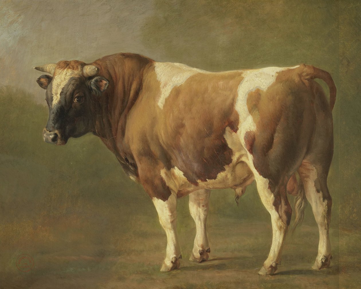 Badanie byka autorstwa Jacques Raymond Brascassat