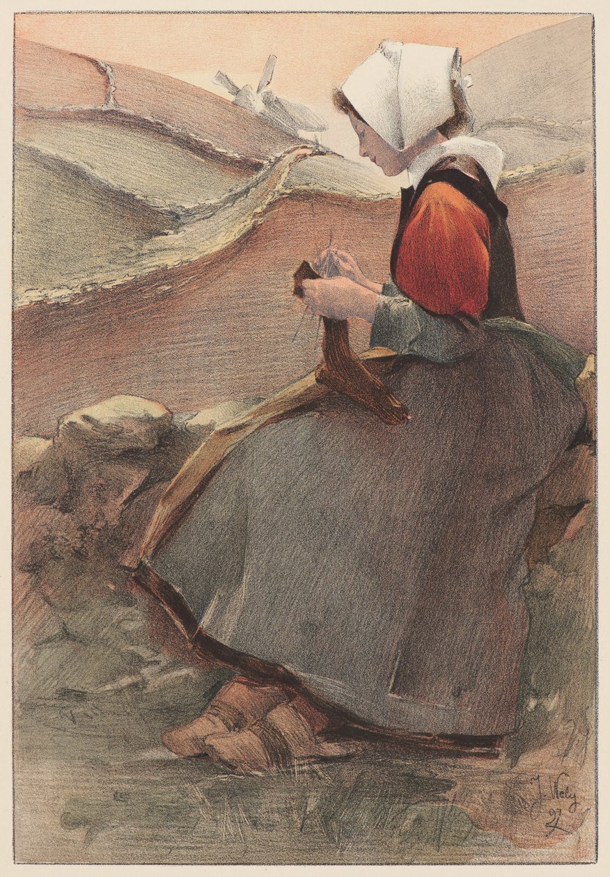 Kwiat Moor, 1897. autorstwa Jacques Wely