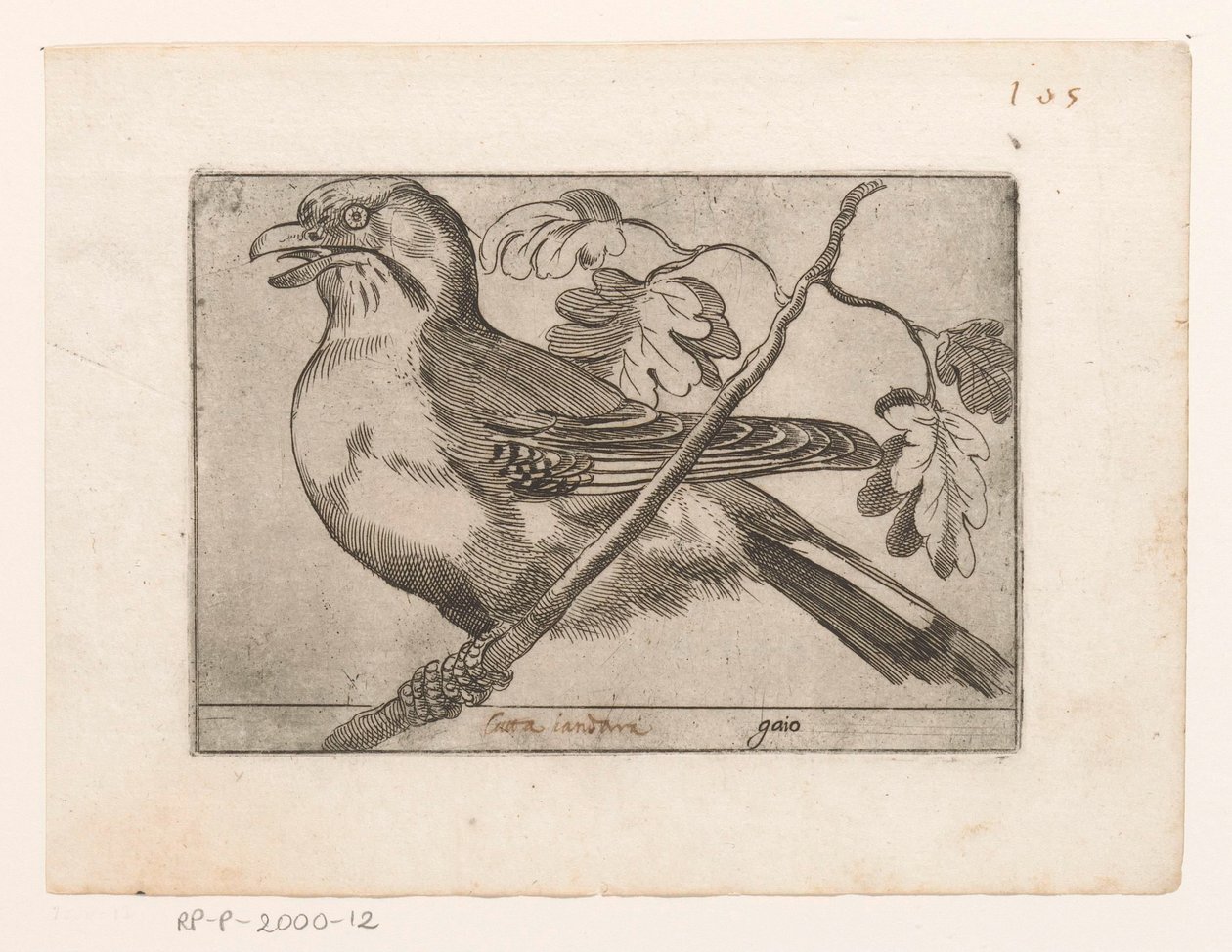 Gaai Gaio (tytuł na obiekcie) Vogels (tytuł serii) autorstwa Jacques de Fornazeris (possibly)