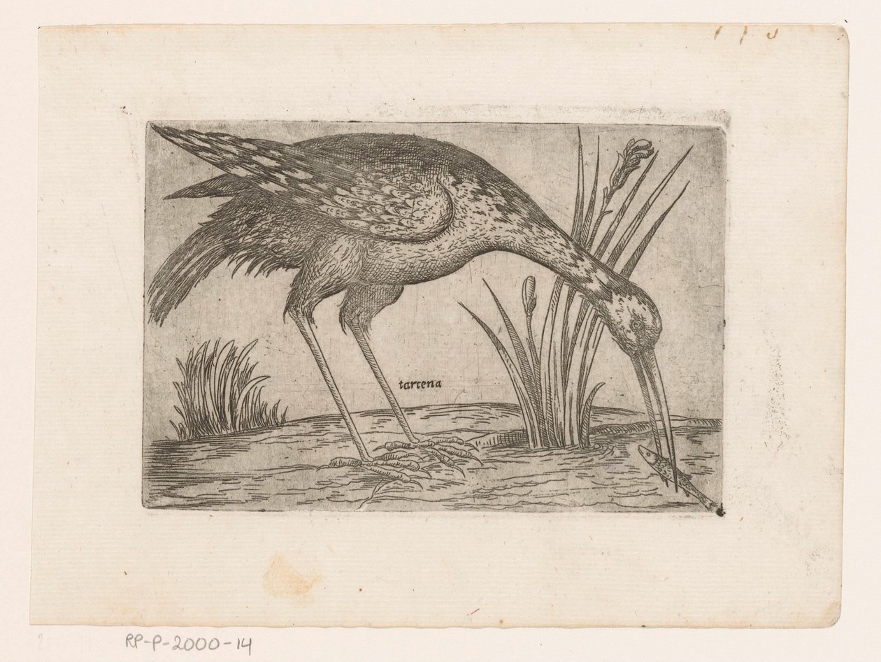 Vogel Tartena (tytuł na obiekcie) Vogels (tytuł serii) autorstwa Jacques de Fornazeris (possibly)
