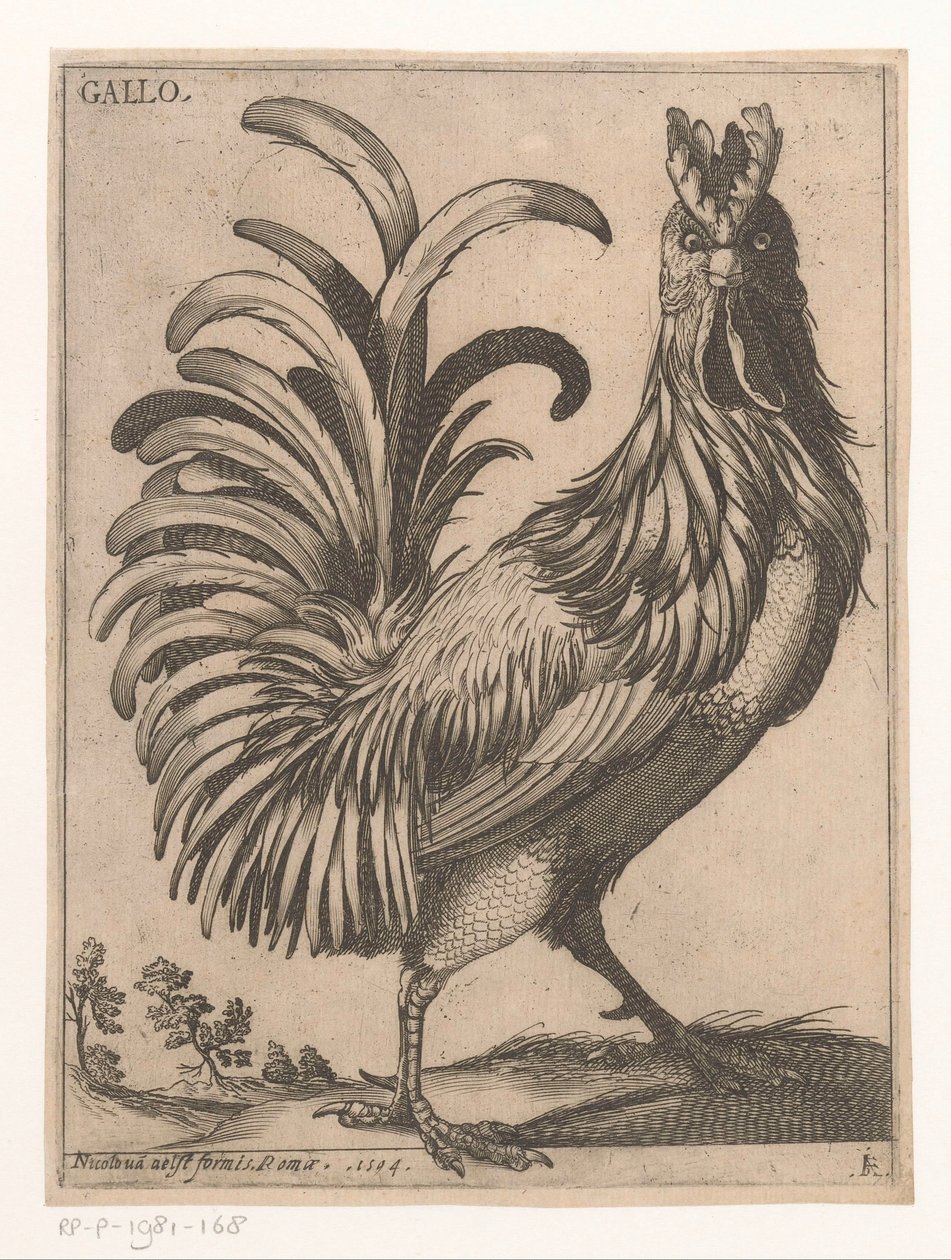 kogut Gallo (tytuł na obiekcie) Dziewięć ptaków (tytuł serii) autorstwa Jacques de Fornazeris