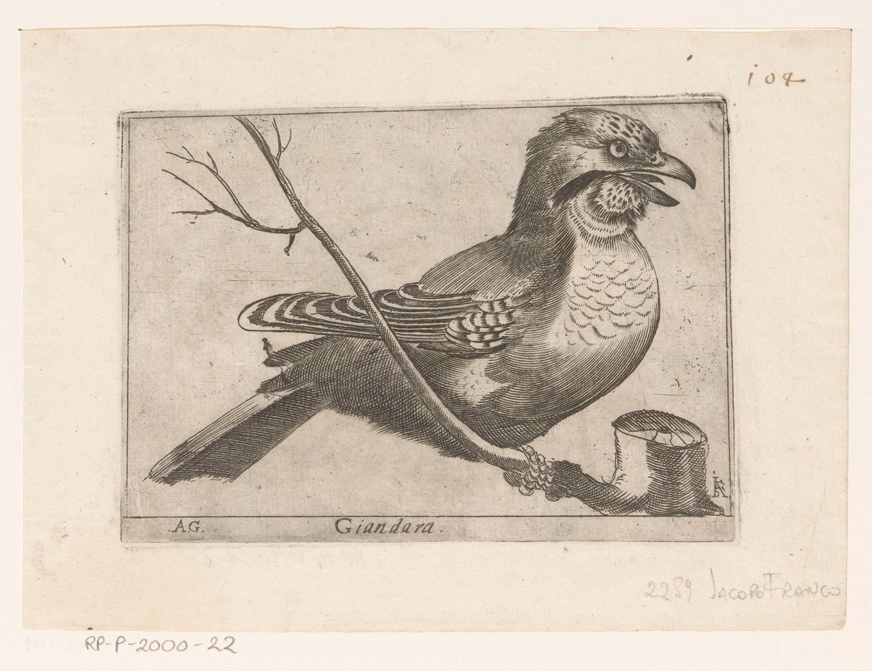 Sójka (Garrulus glandarius) Giandara (tytuł na obiekcie) Ptaki (tytuł serii) autorstwa Jacques de Fornazeris