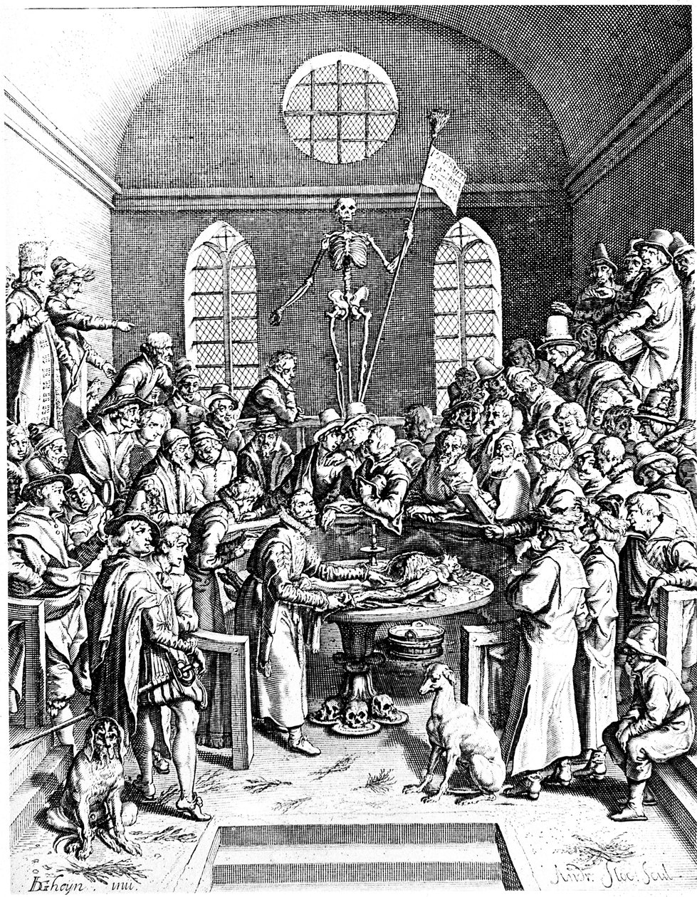 Teatr anatomii z końca XVI wieku, Jacques de Gheyn Starszy, 1633 autorstwa Jacques de Gehyn the Elder