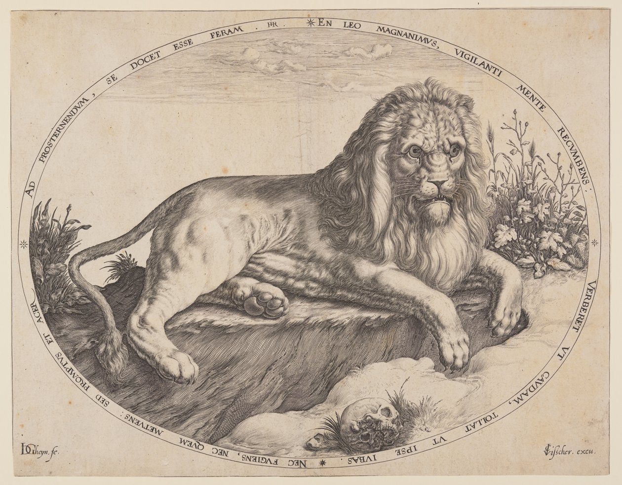 Den Grooten Leeuw (Wielki Lew). autorstwa Jacques de Gheyn II