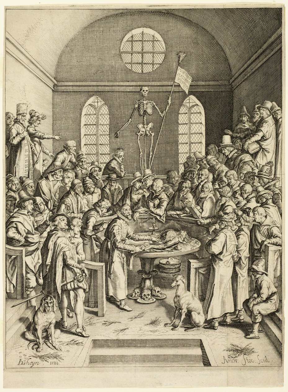 Lekcja anatomii profesora Pauw autorstwa Jacques de Gheyn II