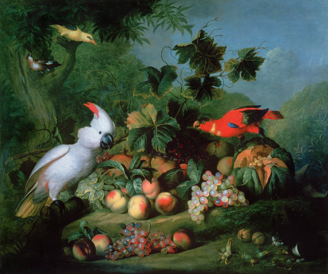 Жимс ба Birdspoli autorstwa Jakob Bogdani or Bogdany