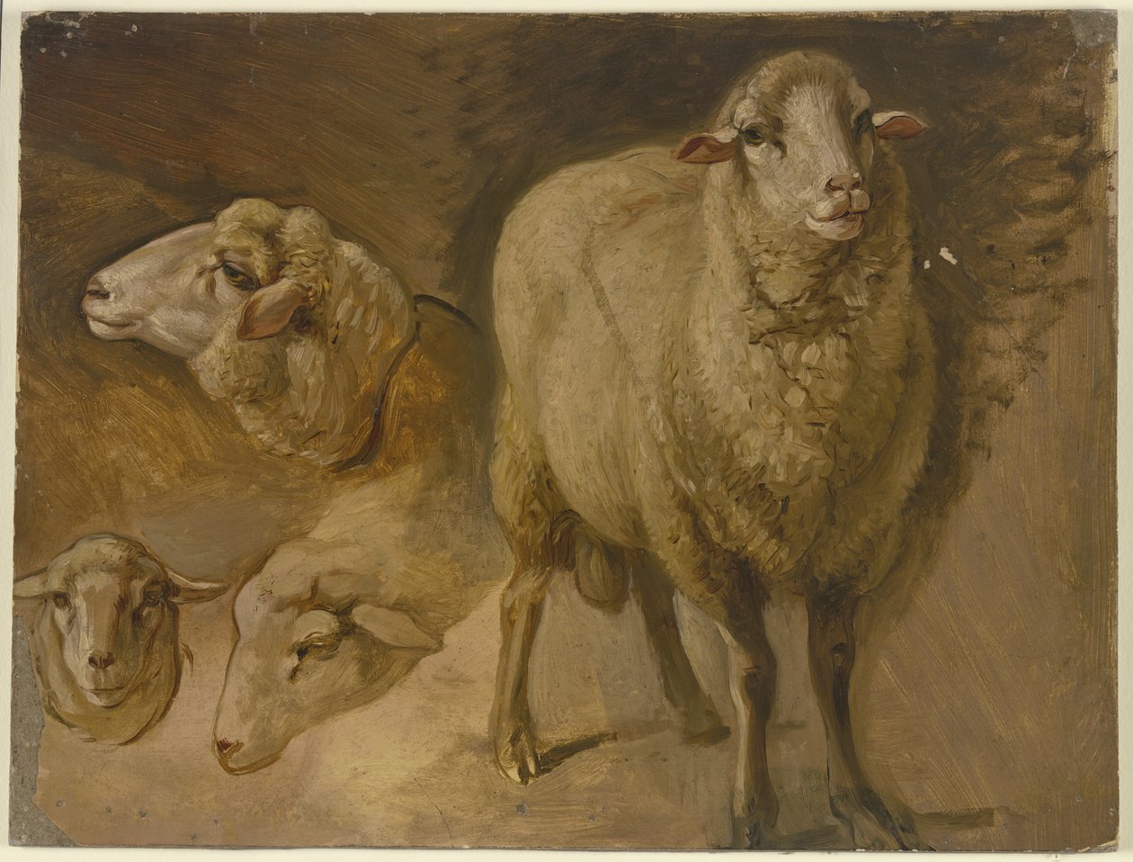 Owce autorstwa Jakob Becker