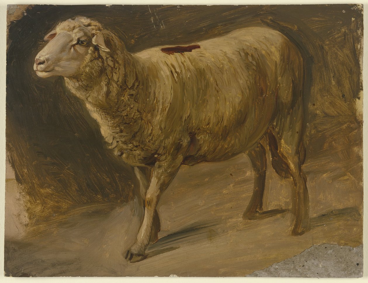 Owce autorstwa Jakob Becker