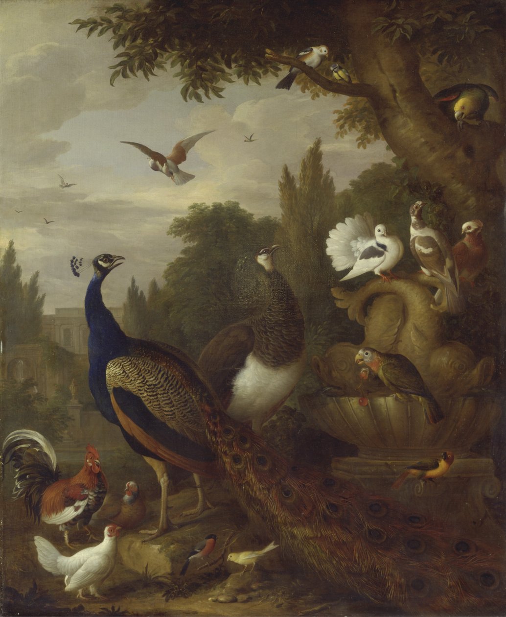 Paw, pawia, papugi, kanarek i inne ptaki w parku, ok. 1708-10 autorstwa Jakob Bogdani or Bogdany