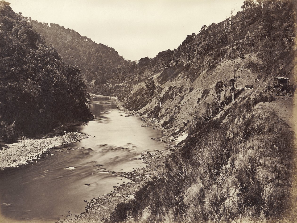 Wąwóz Manawatu 1 mila od mostu, 1878 (druk albumowy) autorstwa James Bragge