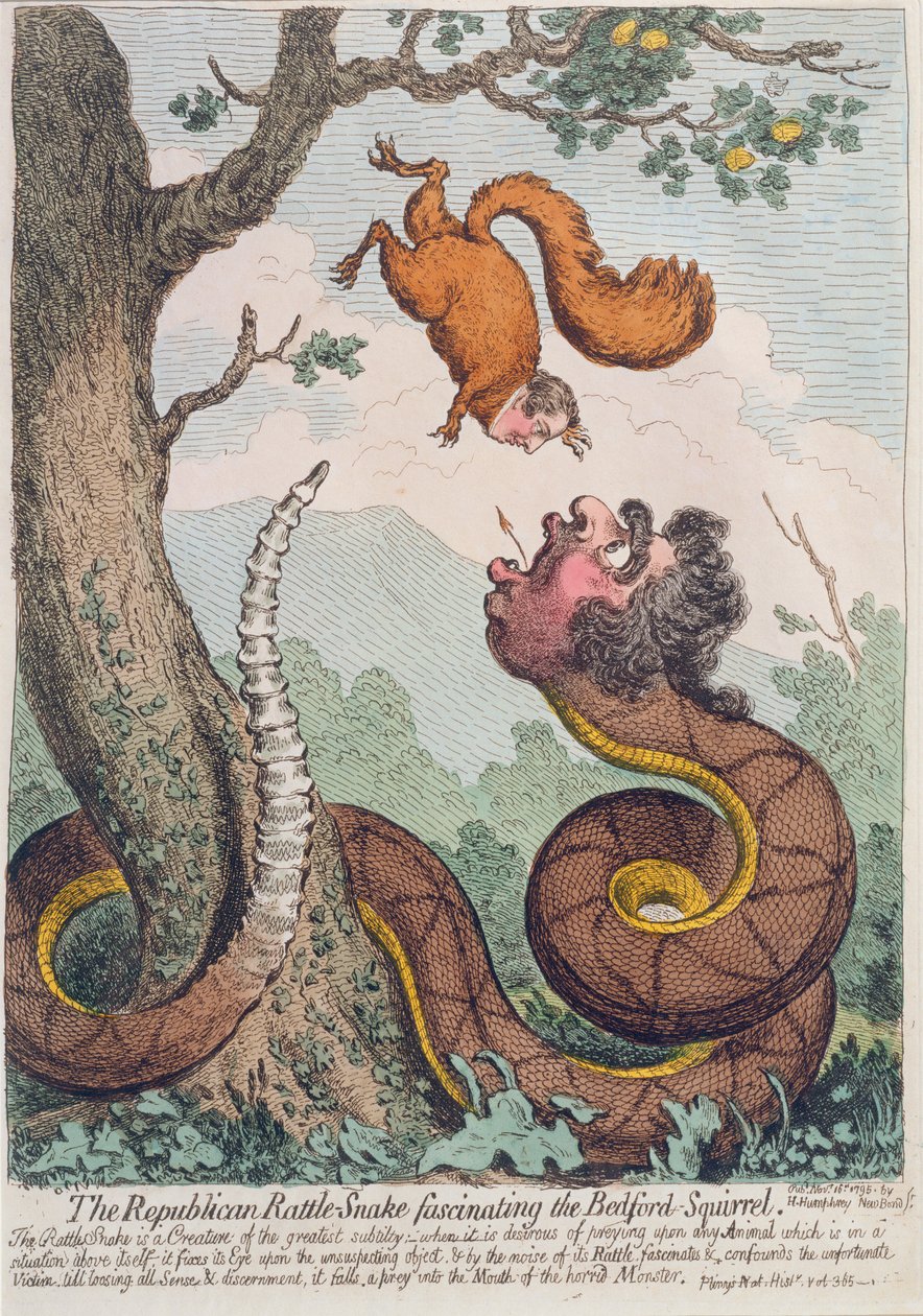 Republikański grzechotnik fascynujący wiewiórkę z Bedford, opublikowany przez Hannah Humphrey w 1795 r. (akwaforta ręcznie kolorowana) autorstwa James Gillray