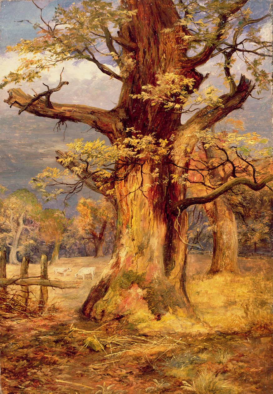 Blasted Oak, Galloway autorstwa James Jnr Faed