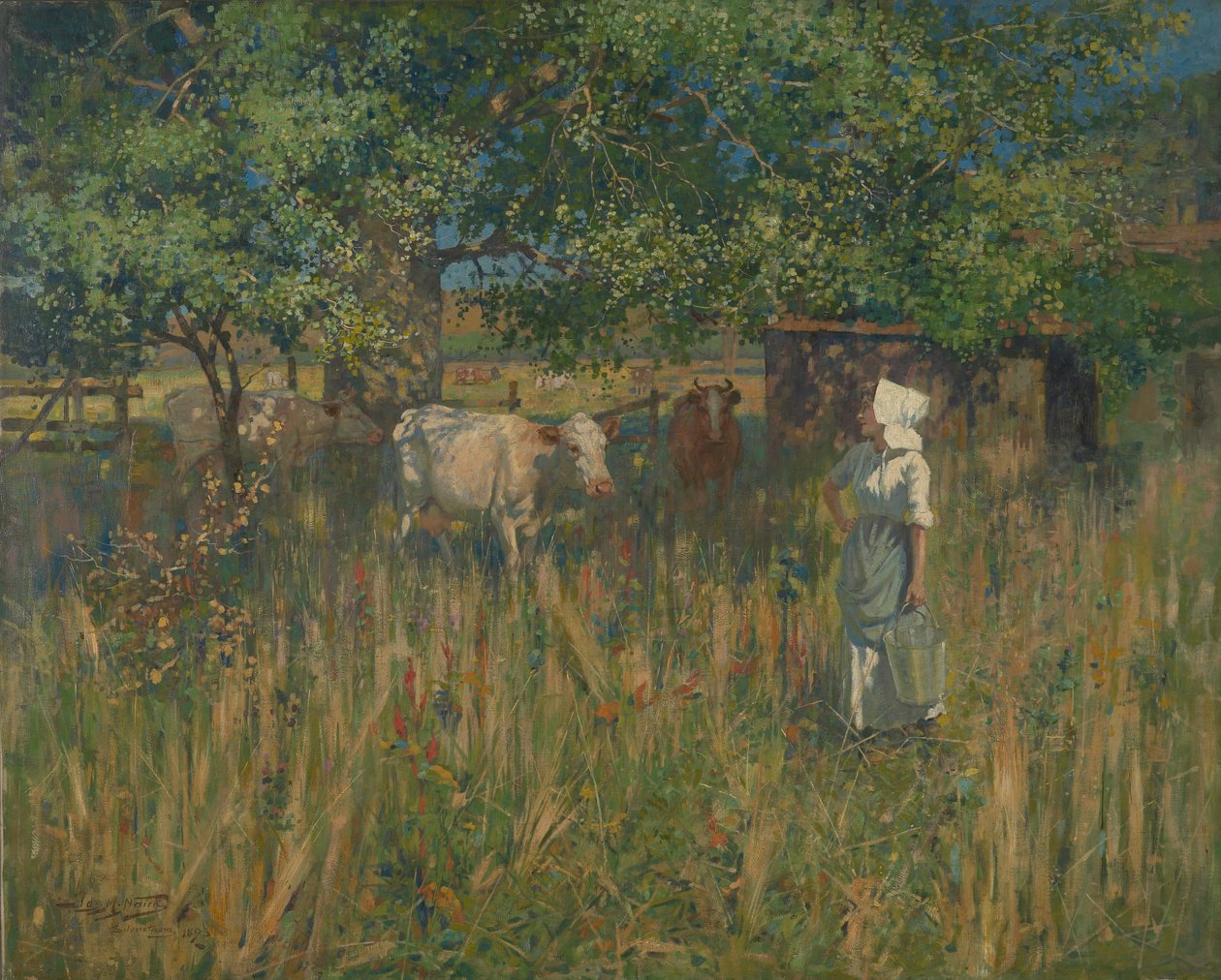 Tess autorstwa James McLachlan Nairn