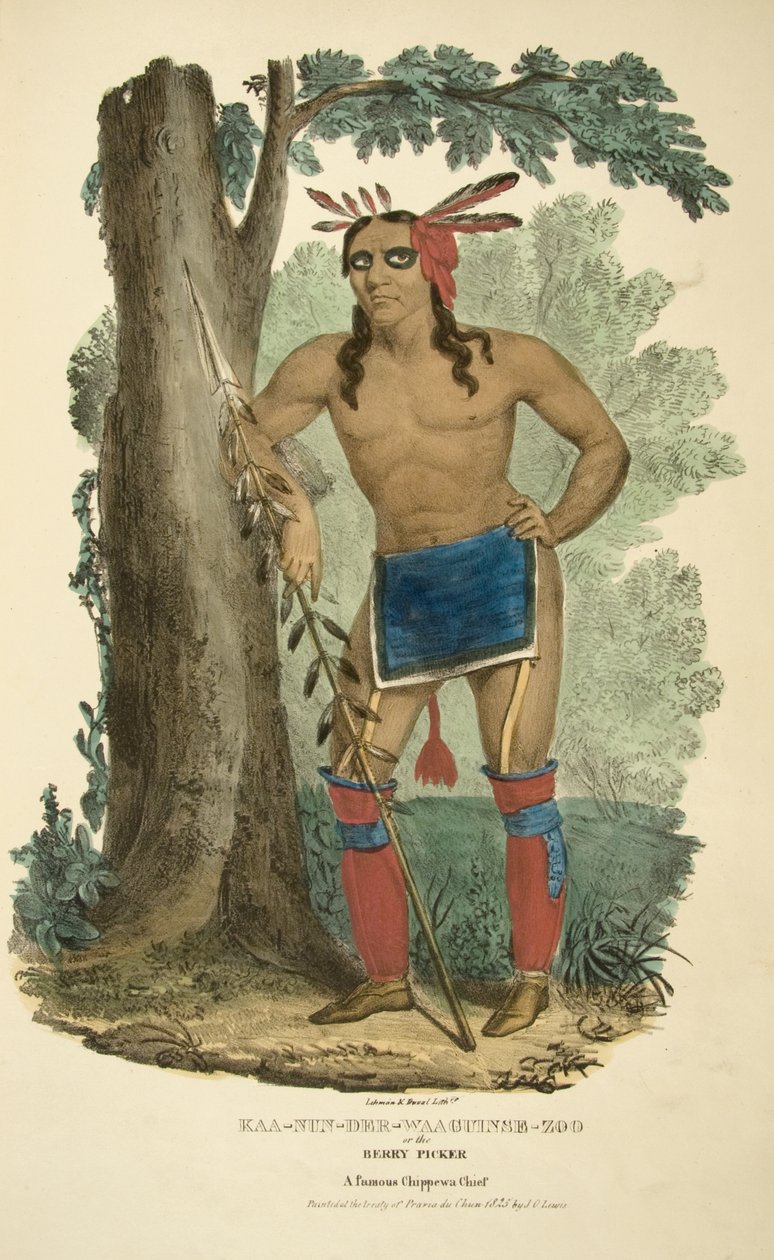 Kaa-nun-der-waaguinse-zoo lub zbieracz jagód autorstwa James Otto Lewis