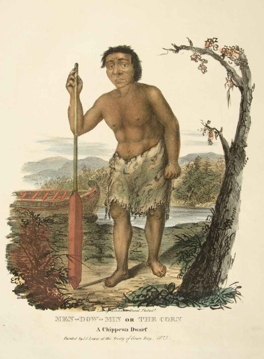 Men-dow-min lub The Corn autorstwa James Otto Lewis