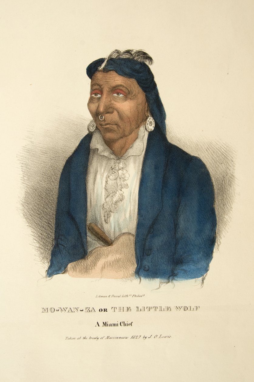 Mo-wan-za lub Mały Wilk autorstwa James Otto Lewis