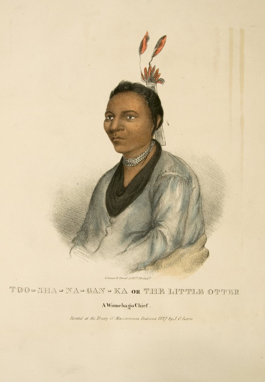 Too-sha-na-gan-ka lub Mała Wydra autorstwa James Otto Lewis