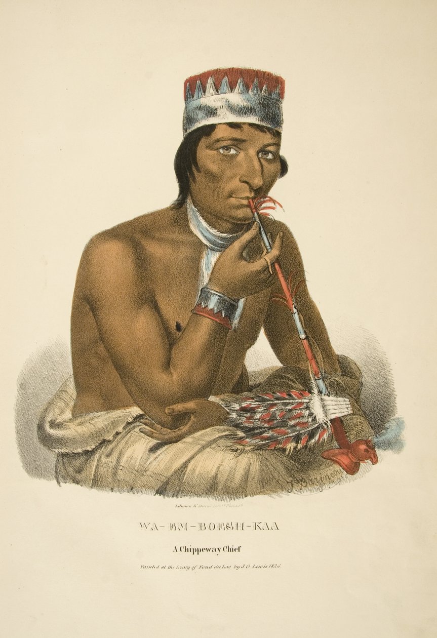 Wa-em-boesh-kaa autorstwa James Otto Lewis
