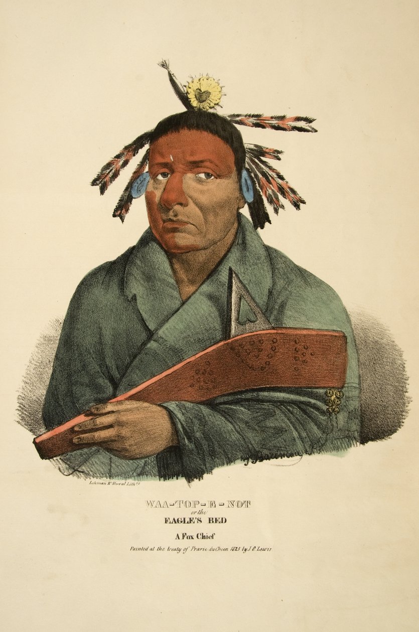 Waa-top-e-not czy łóżko Orłów autorstwa James Otto Lewis